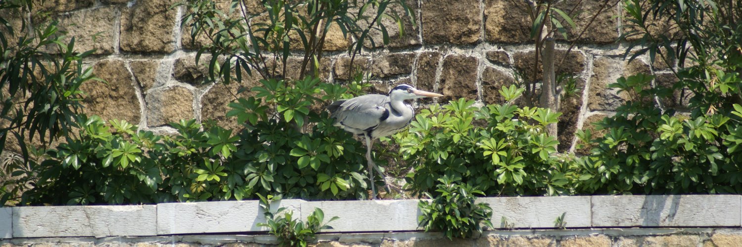 ModernHealthspan banner