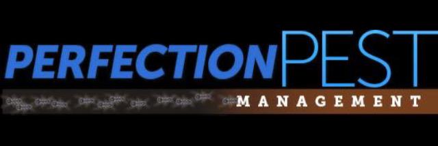 PerfectionPest1's profile banner image