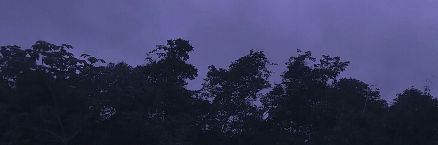 lostinbumcu's profile banner image