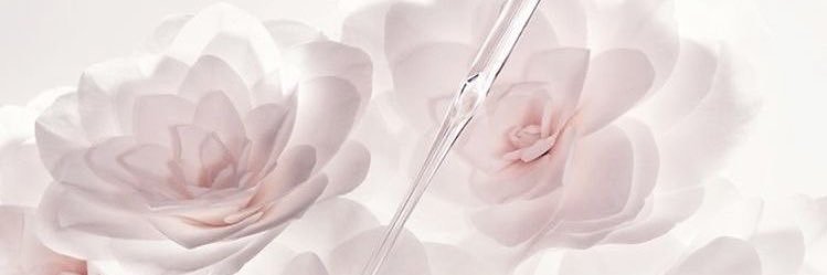 rei's banner