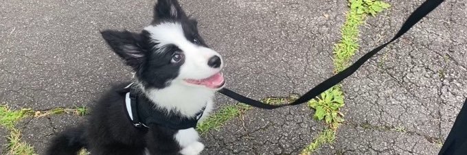 beef 🍉 banner