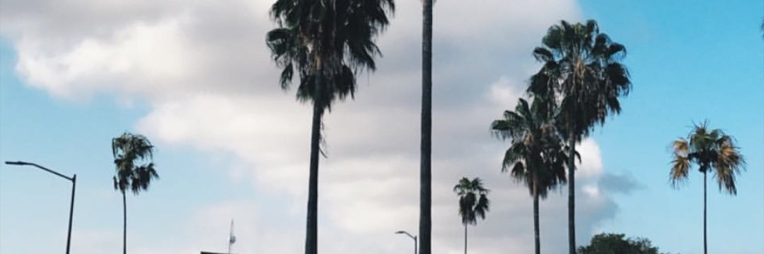 arlet_ceballos's profile banner image