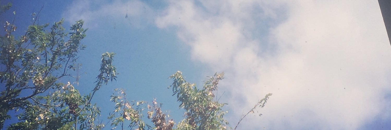 mint_nll's profile banner image