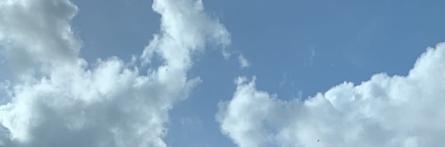 BellaBelle banner