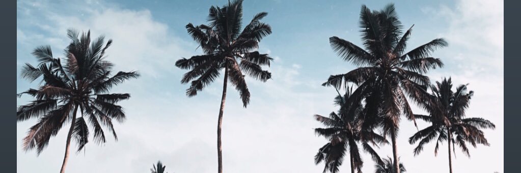 oswaldworld's profile banner image