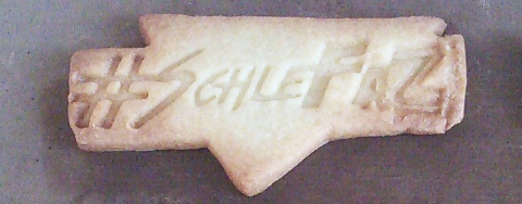 SchleFaZ-Tom banner