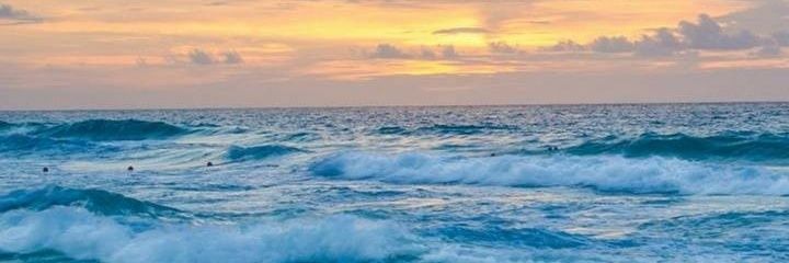 Mahsa_Mkh77's profile banner image