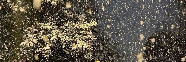 PRTTYP0ISON Profile Banner