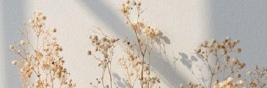 HENDMAGHWRY's profile banner image
