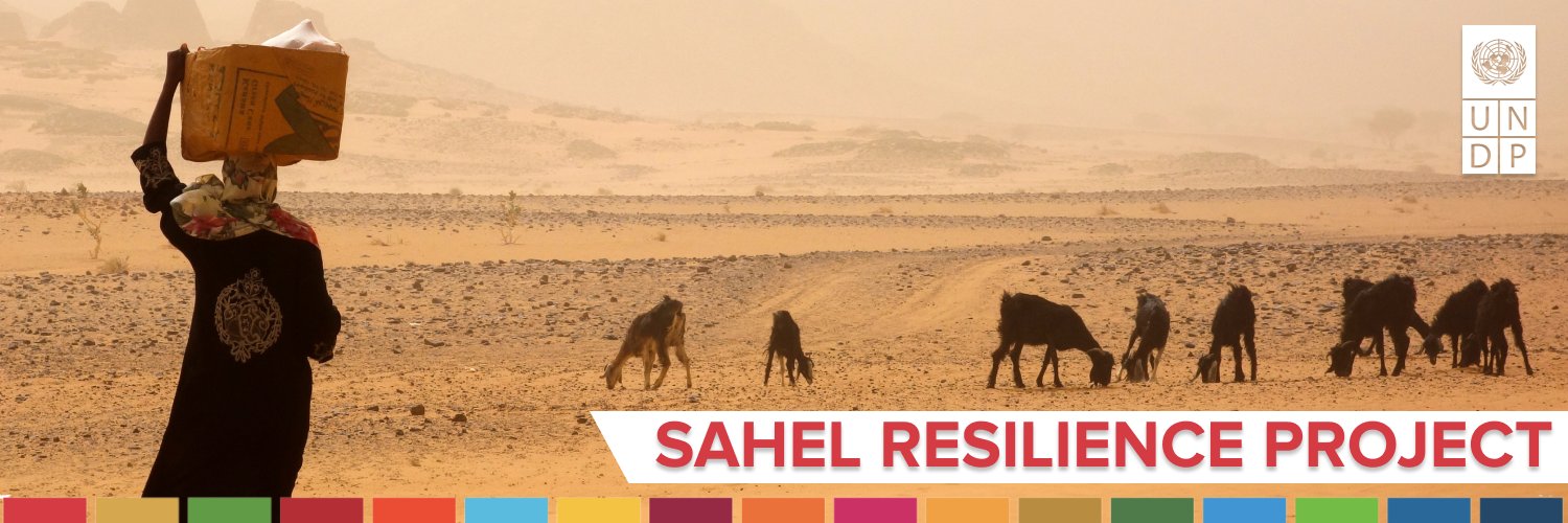 Sahel Resilience Project's banner
