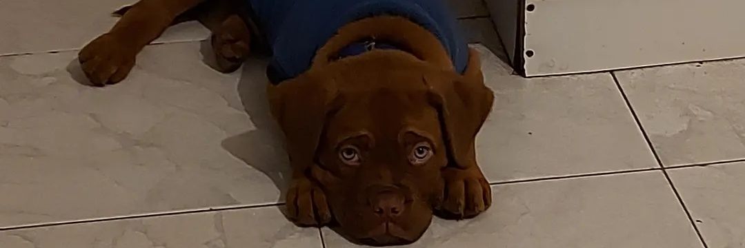 Berni_zerm's profile banner image