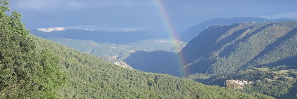 DomenecE Profile Banner