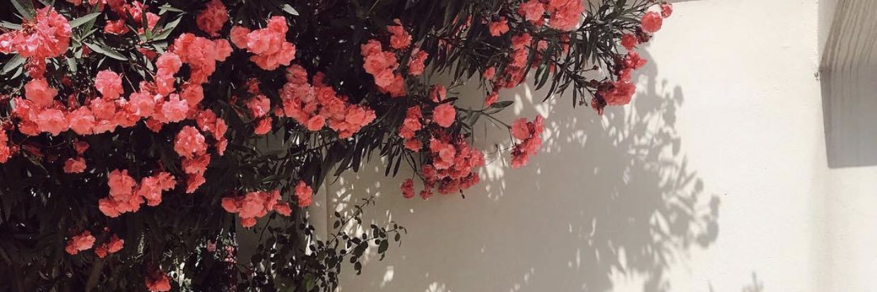 Hana_Sultan_'s profile banner image