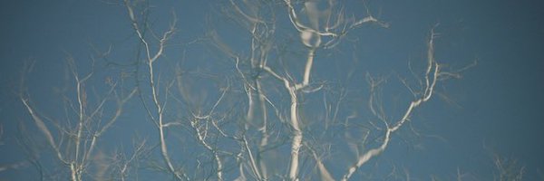 bryanccarstens Profile Banner