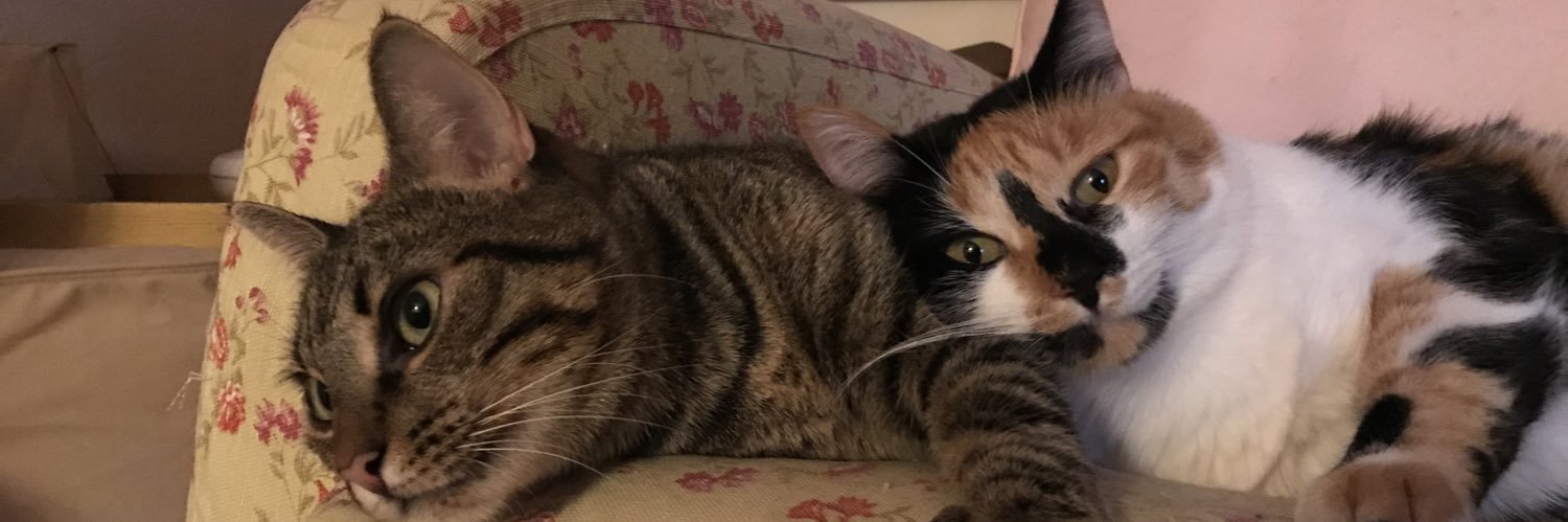 DandyDelExtrarradio banner