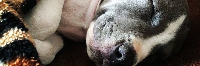 ianmccue's profile banner image