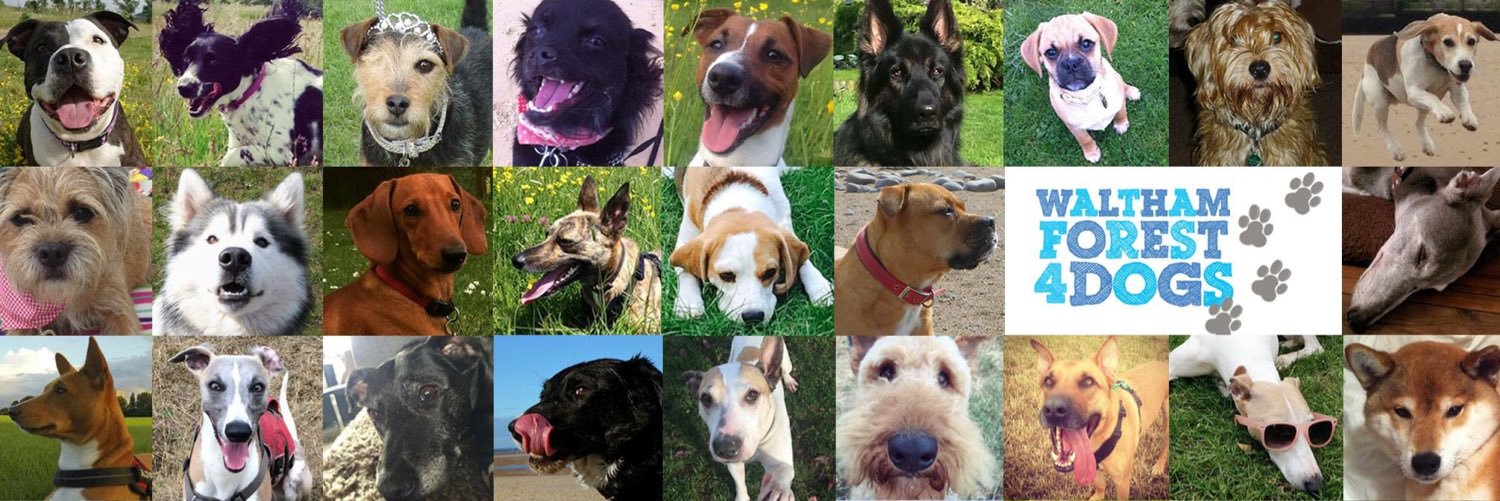 WalthamForest4Dogs banner