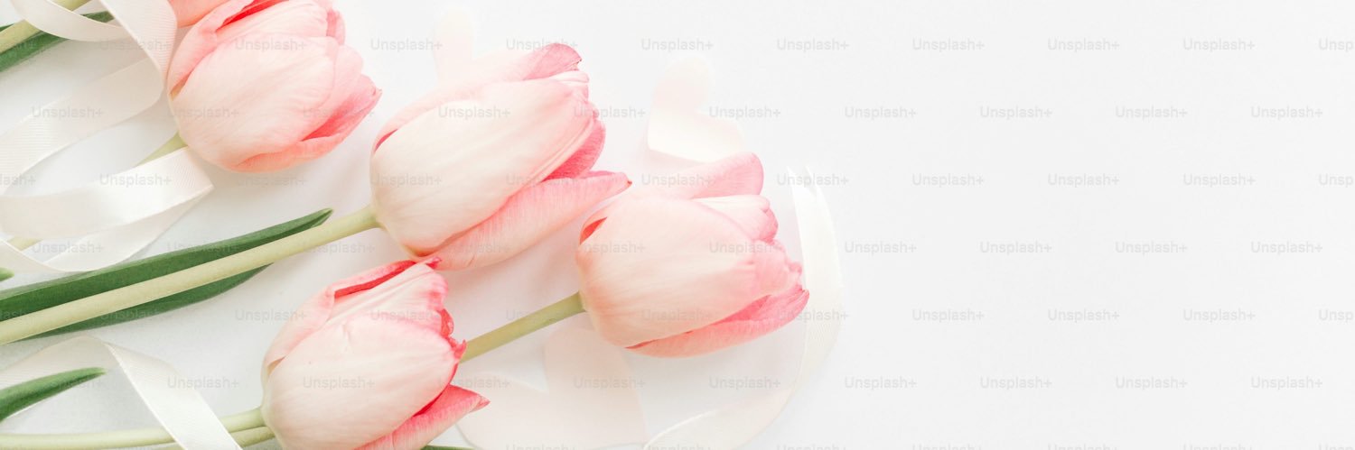 いと🧵リトリン必読 banner