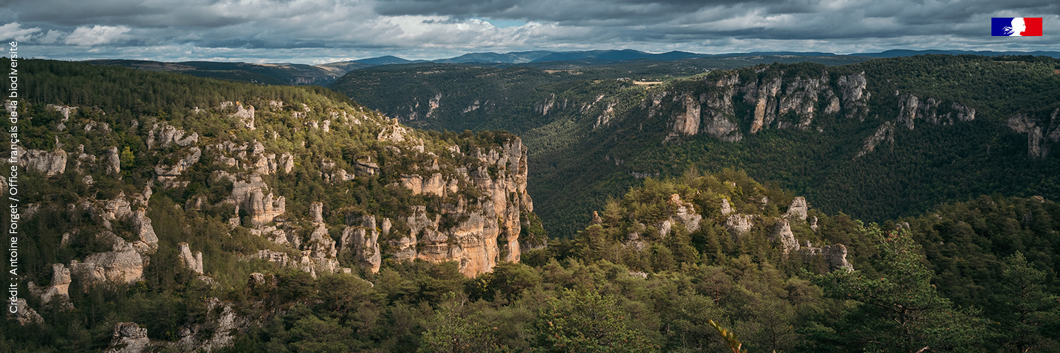 Projet Life intégré ARTISAN banner
