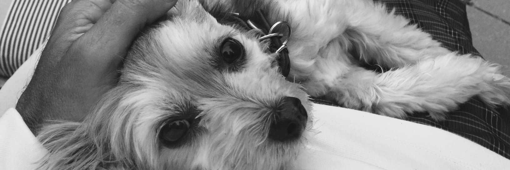 DaveMorton66's profile banner image