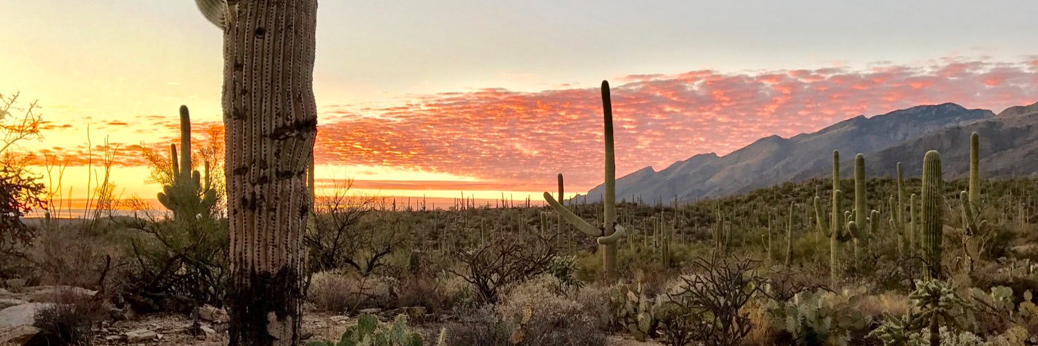 Andy Flach 🌵 banner