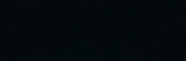auntang banner