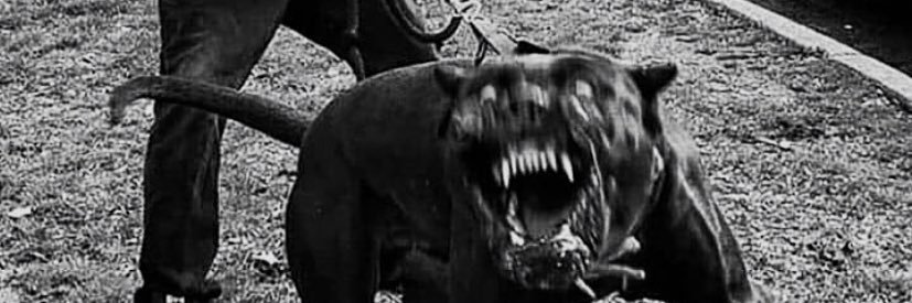 𝒎𝒂𝒏𝒏𝒚 banner