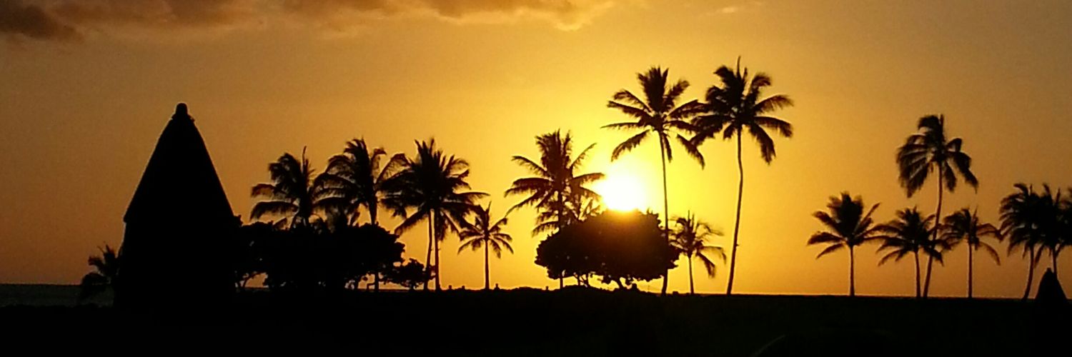 nattynoel's profile banner image