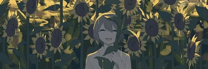 EliJohanAA's profile banner image