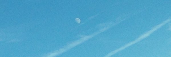 mandalee_03 Profile Banner