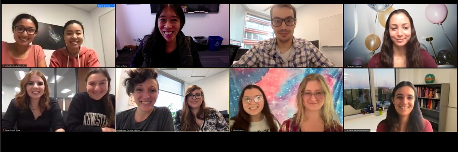 Fong Group at Northwestern banner