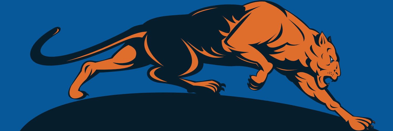 South Yorkshire Jaguars banner