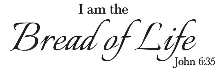 Laura O’Boyle banner