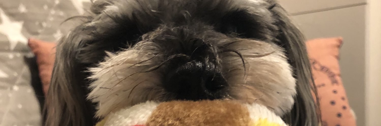 neriesu's profile banner image