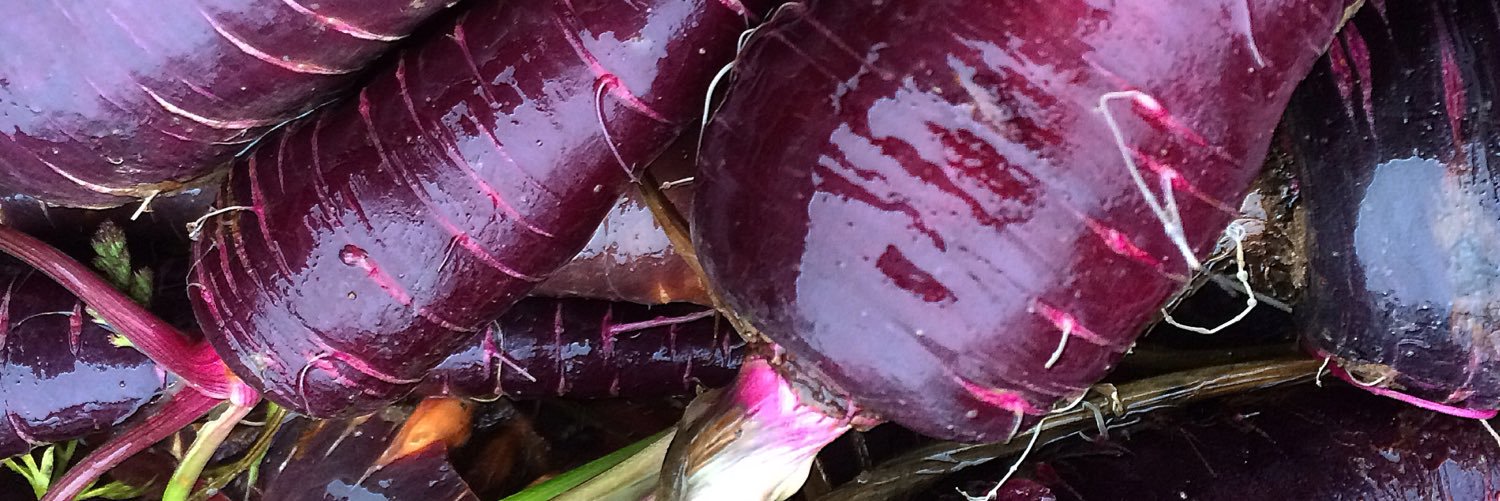 Eddie Attwell banner