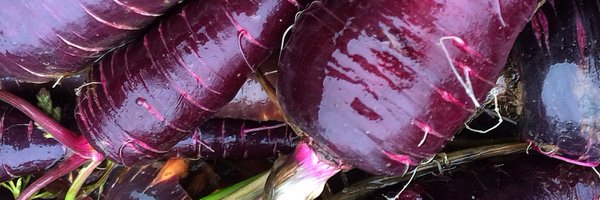 EAttwell Profile Banner