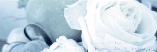torigs2's profile banner image