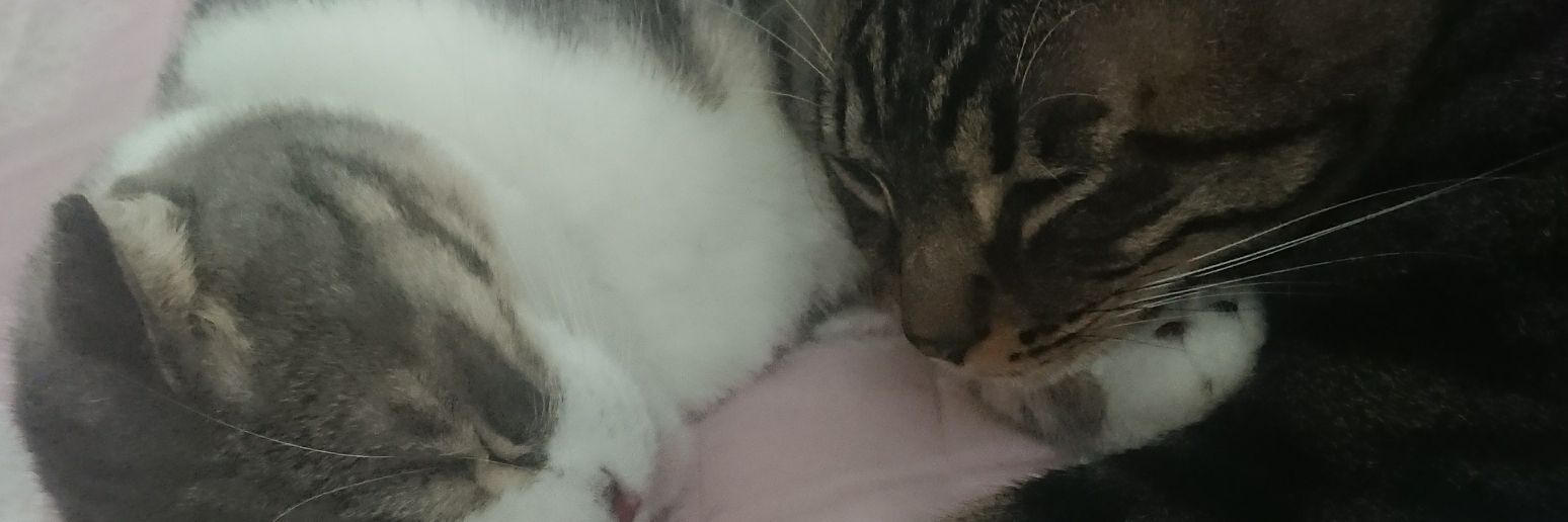 azutanu's profile banner image