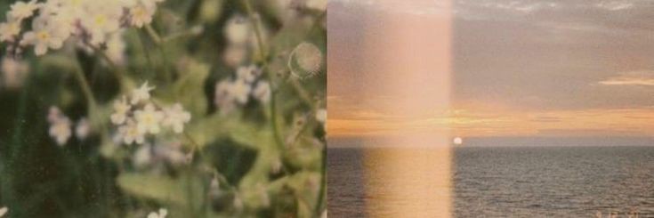 dearestnira's profile banner image