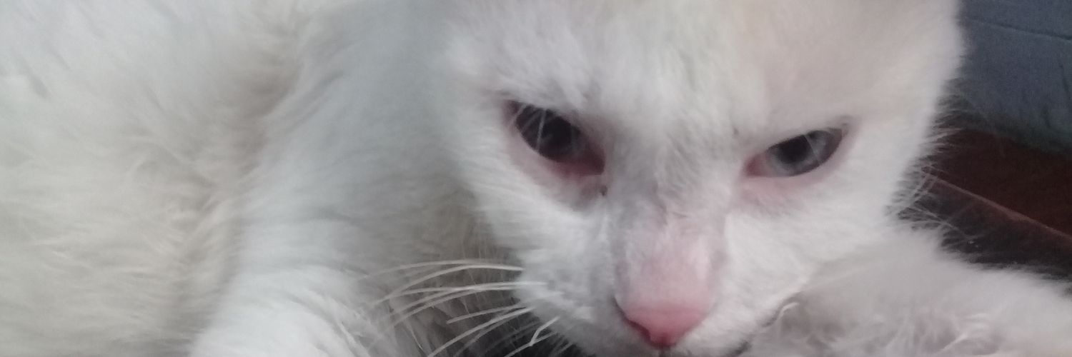 iBESTL0UIE's profile banner image