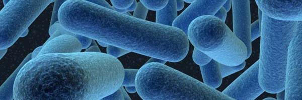 Microbiology Network banner