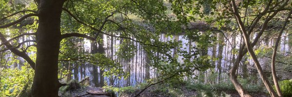 MFargas_QUB Profile Banner