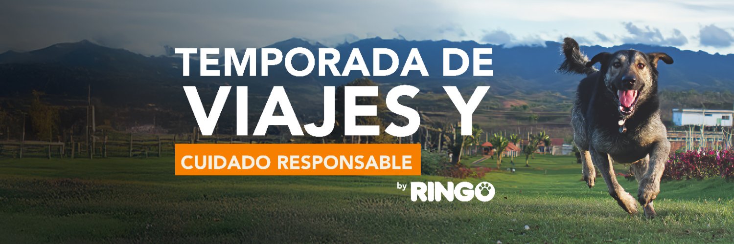 Efecto Ringo's banner