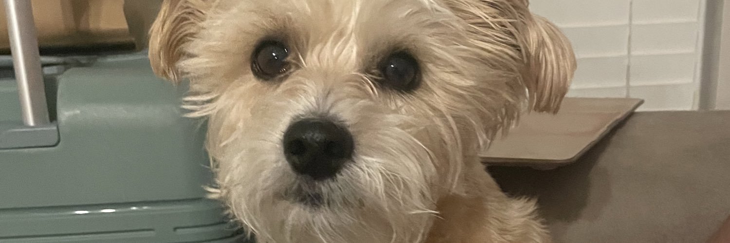 Jaz_Hod's profile banner image