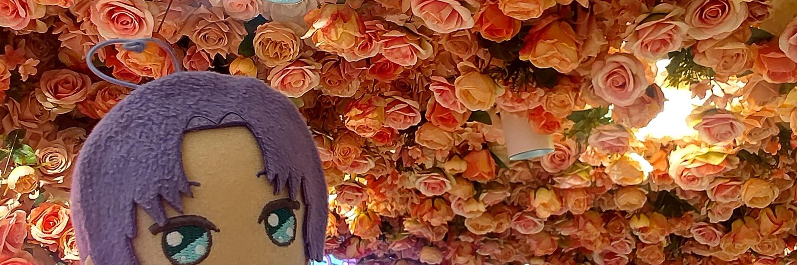 🩵如月。 banner