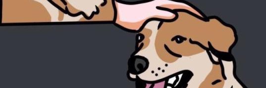 bifi1512's profile banner image