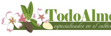 todoalmendro's profile banner image
