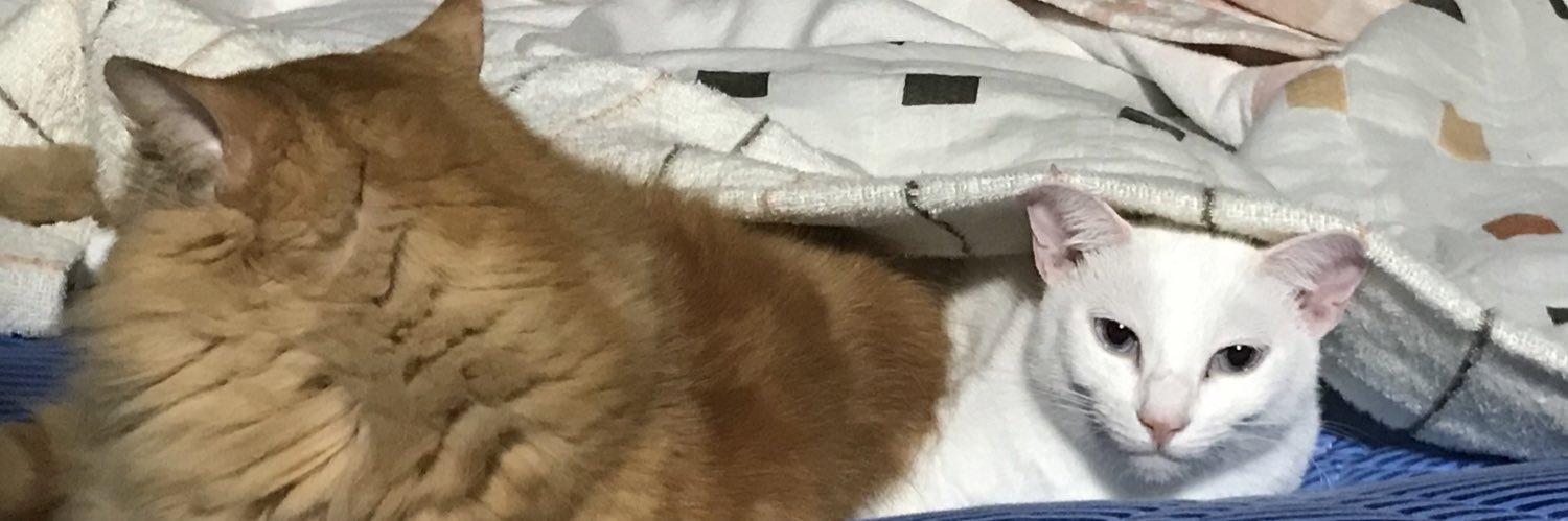 kiri_番 banner