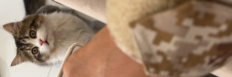 vxcszz's profile banner image