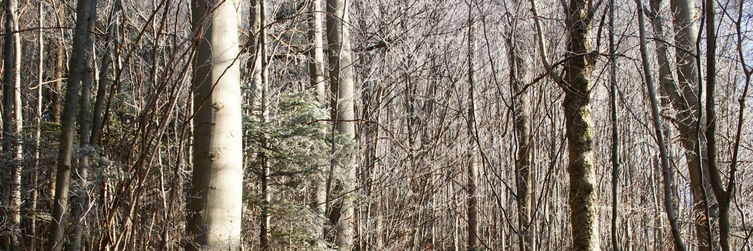 GeneralWren's profile banner image